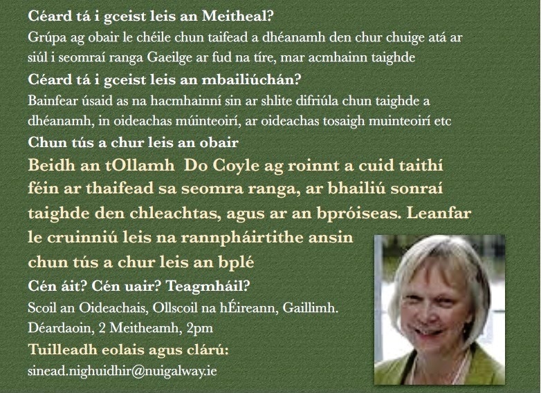 Meitheal Taighde Taifead sa seomra ranga Gaeilge-image